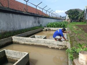 Perikanan Sebagai Peluang: Narapidana Lapas Magelang Terlibat Aktif dalam Kegiatan Pembinaan