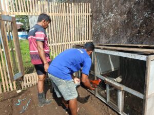 “Mengasah Keterampilan dan Tanggung Jawab: Unit Peternakan Ayam di Lapas Magelang”