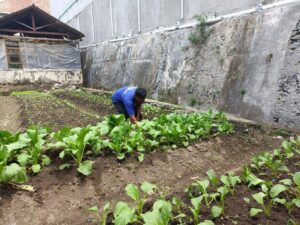 Program Pertanian Luar sebagai Pembinaan di Lapas Magelang